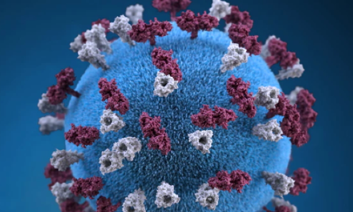 【ハワイ・アメリカ】2020年3月からの新型コロナウイルス感染者推移
